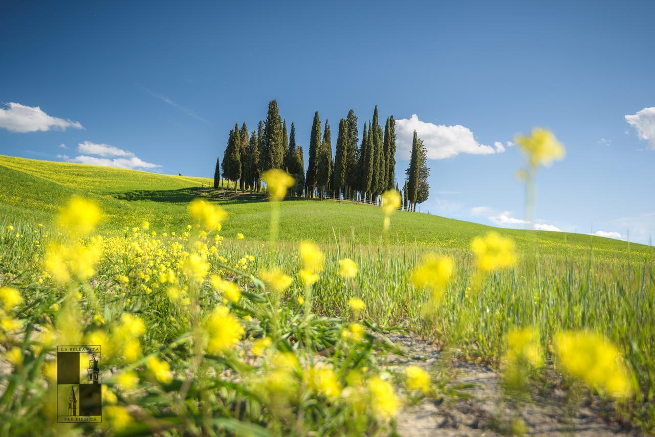La Bellavita B&B Pienza Eksteriør bilde